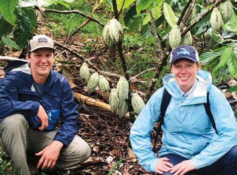 Lake Champlain Chocolates