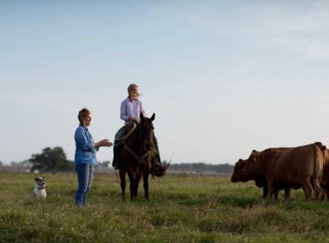 Peeler Farms