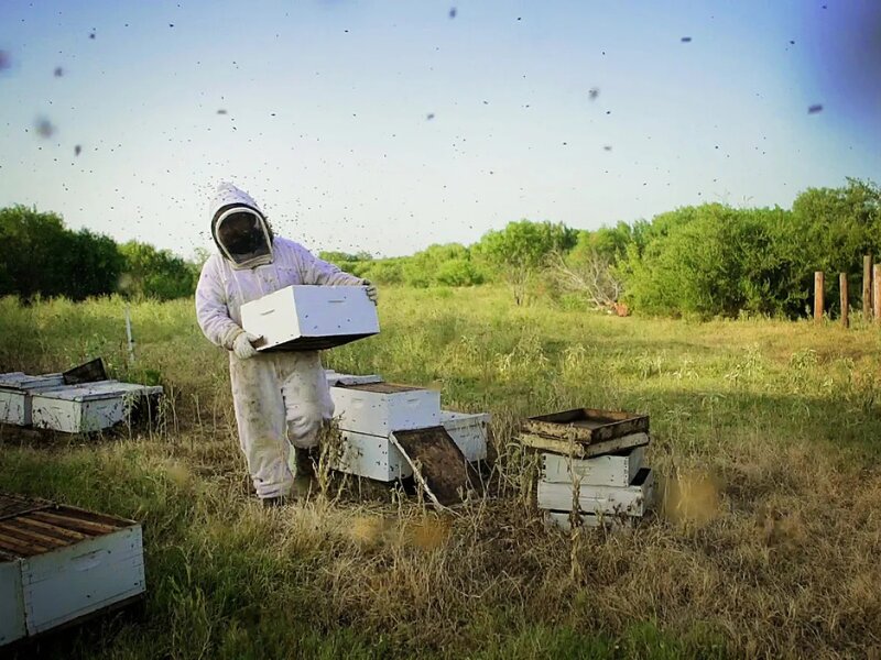 Holdman Honey